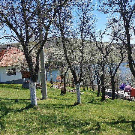 Villa Uvac Griffon Nova Varoš Exterior foto