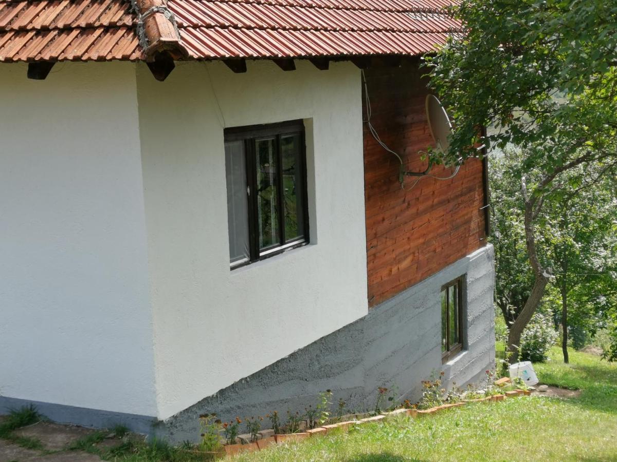 Villa Uvac Griffon Nova Varoš Exterior foto