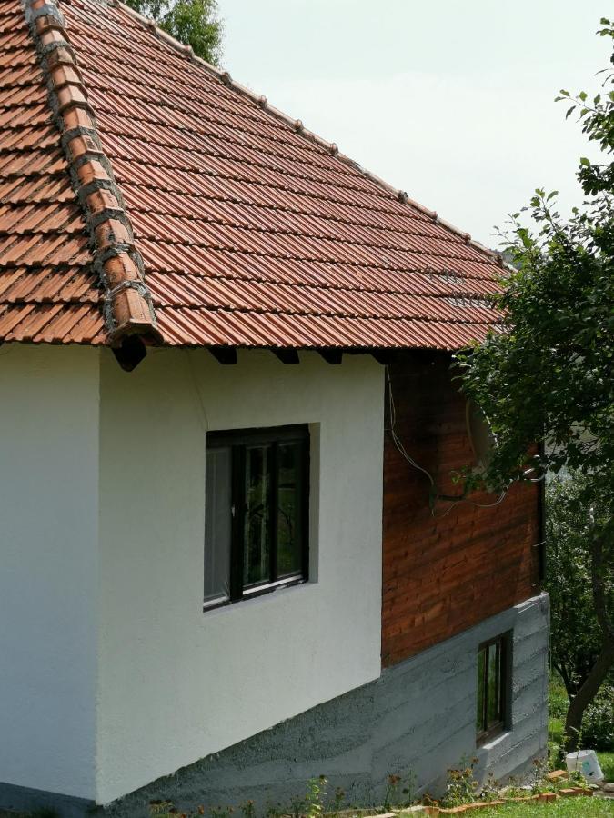 Villa Uvac Griffon Nova Varoš Exterior foto